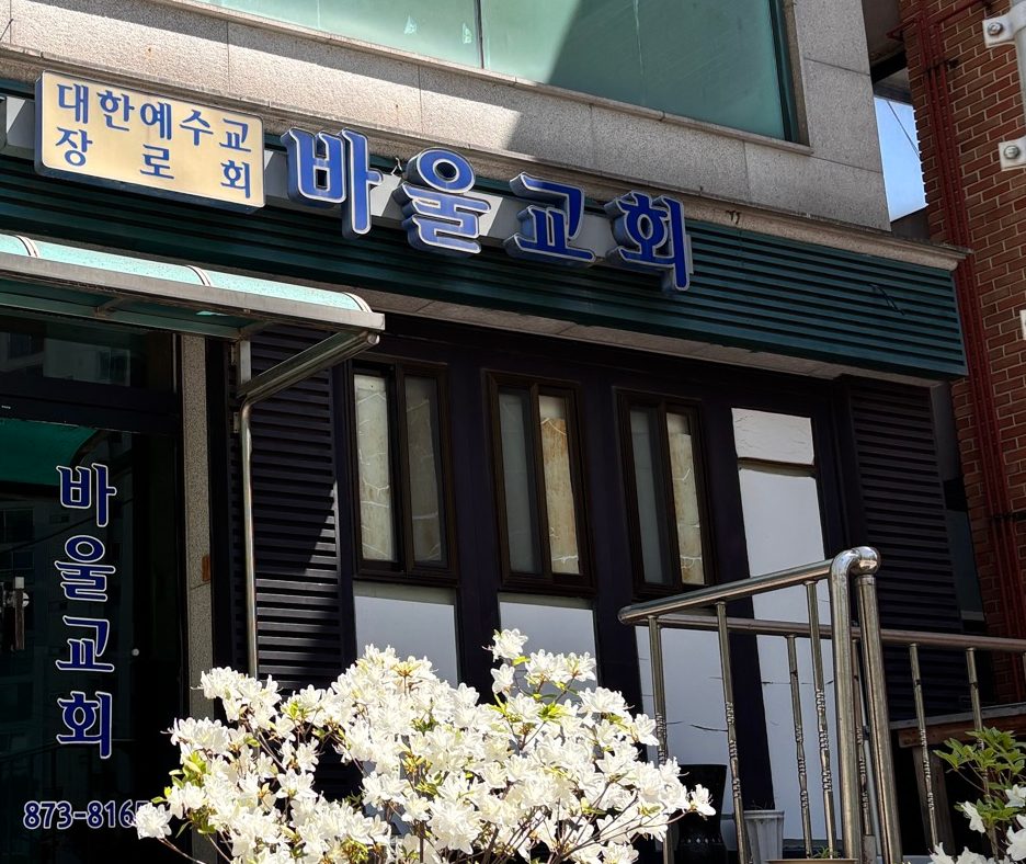 1층 ‘바울교회’ 간판과 유리문 입구. 앞에 흰 철쭉이 피어 있다